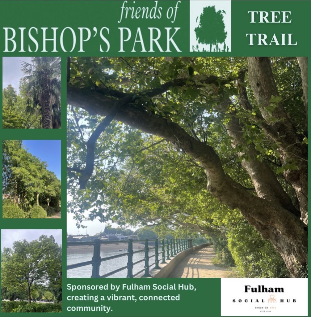 TiCLme's tweet image. Tell your Friends … 

if they’re thinking of creating a #treetrail for their park, town or city they should take a look at ticl.me