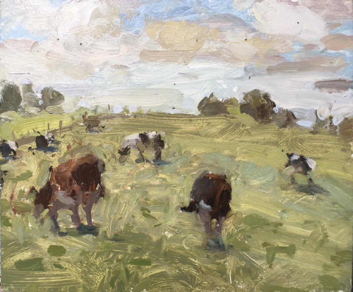 Adam_Ralston's tweet image. These cows had a tendency to walk off everytime I set up to paint. I followed them all around the field, only to end up back where I started.
#kirkham #cows #northernboys #pleinair #fields #sky #landscape