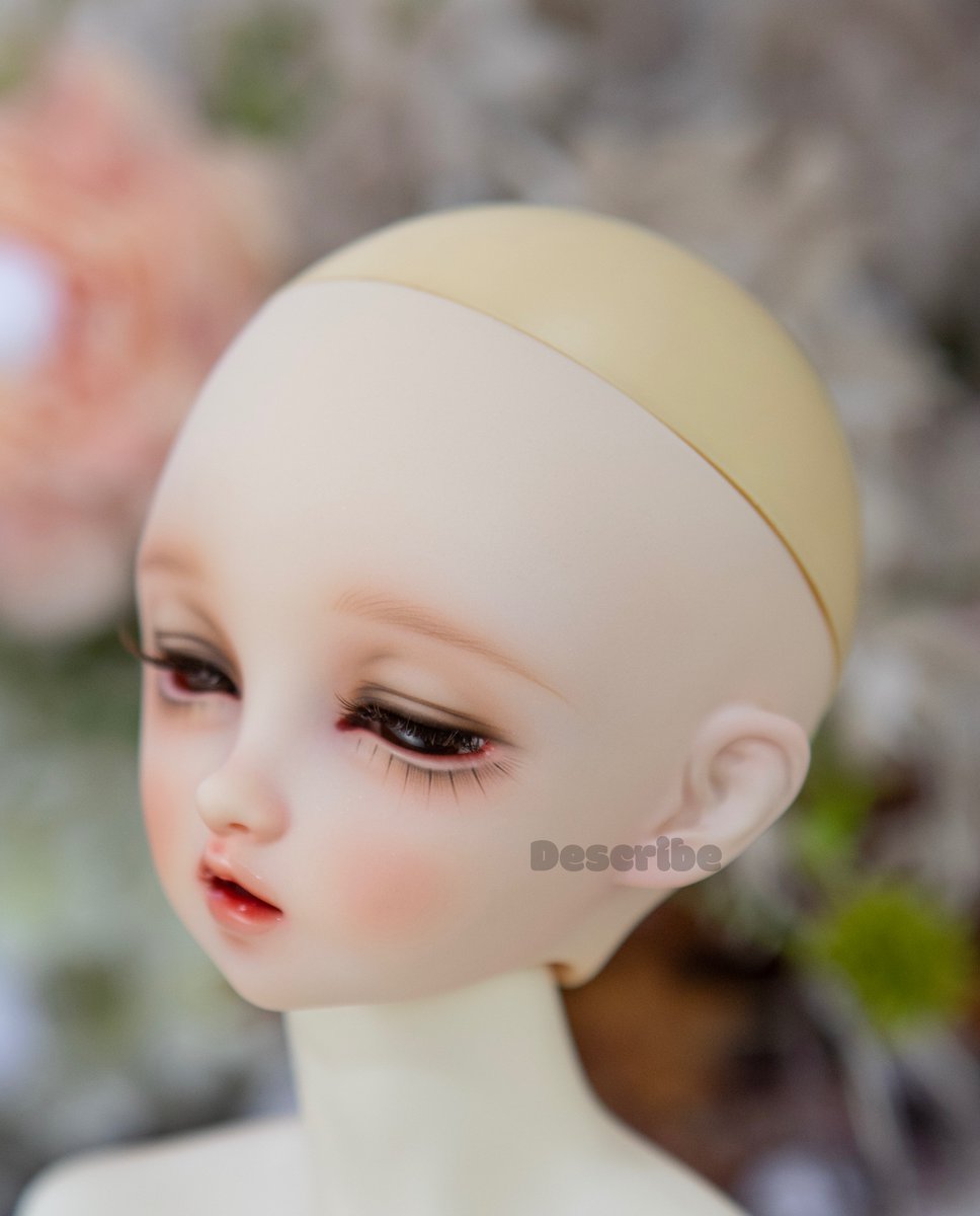 Volks Sweet Dream NANA