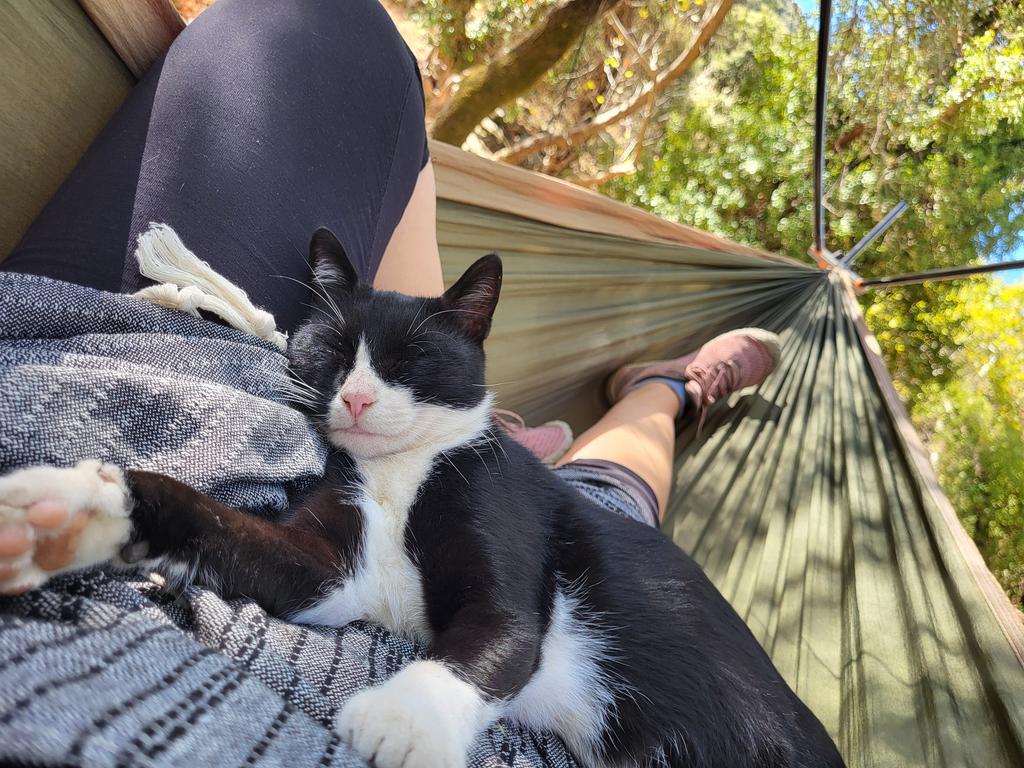 Antonia Wawira 💙 tweet media