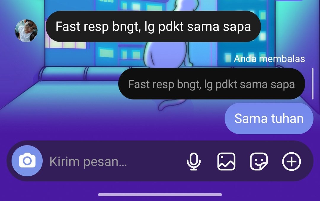 Stay halal brodi