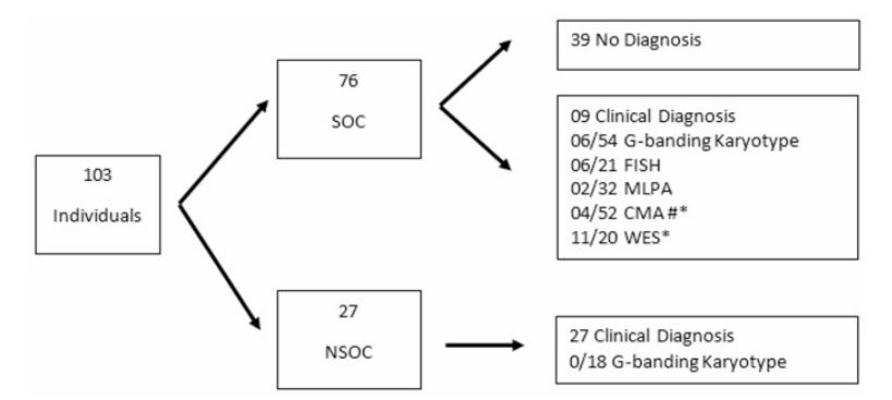 Read a new research published in Orphanet Journal of Rare Diseases on Genetic testing for oral clefts: reflections based on a single Brazilian public genetics service. 
doi.org/10.1186/s13023…