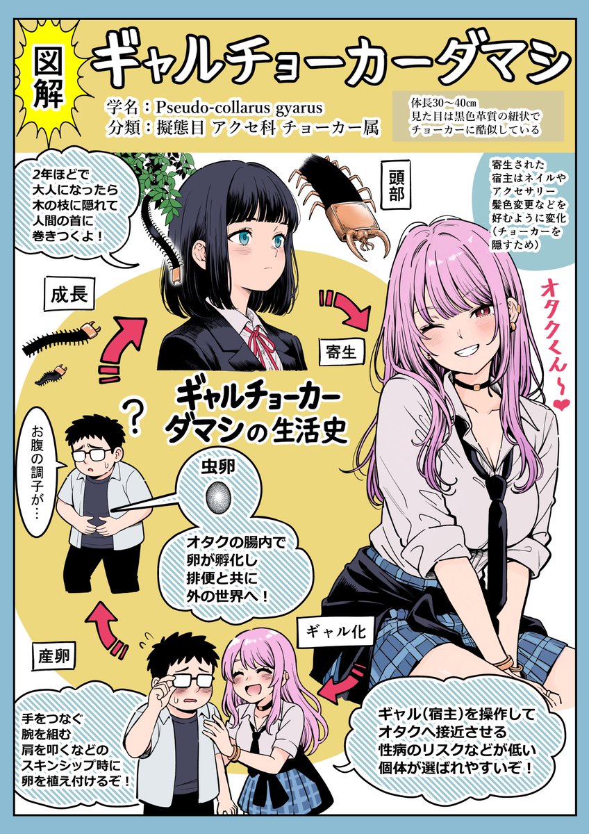 かざなり ふうり (@ZEXT933) / X