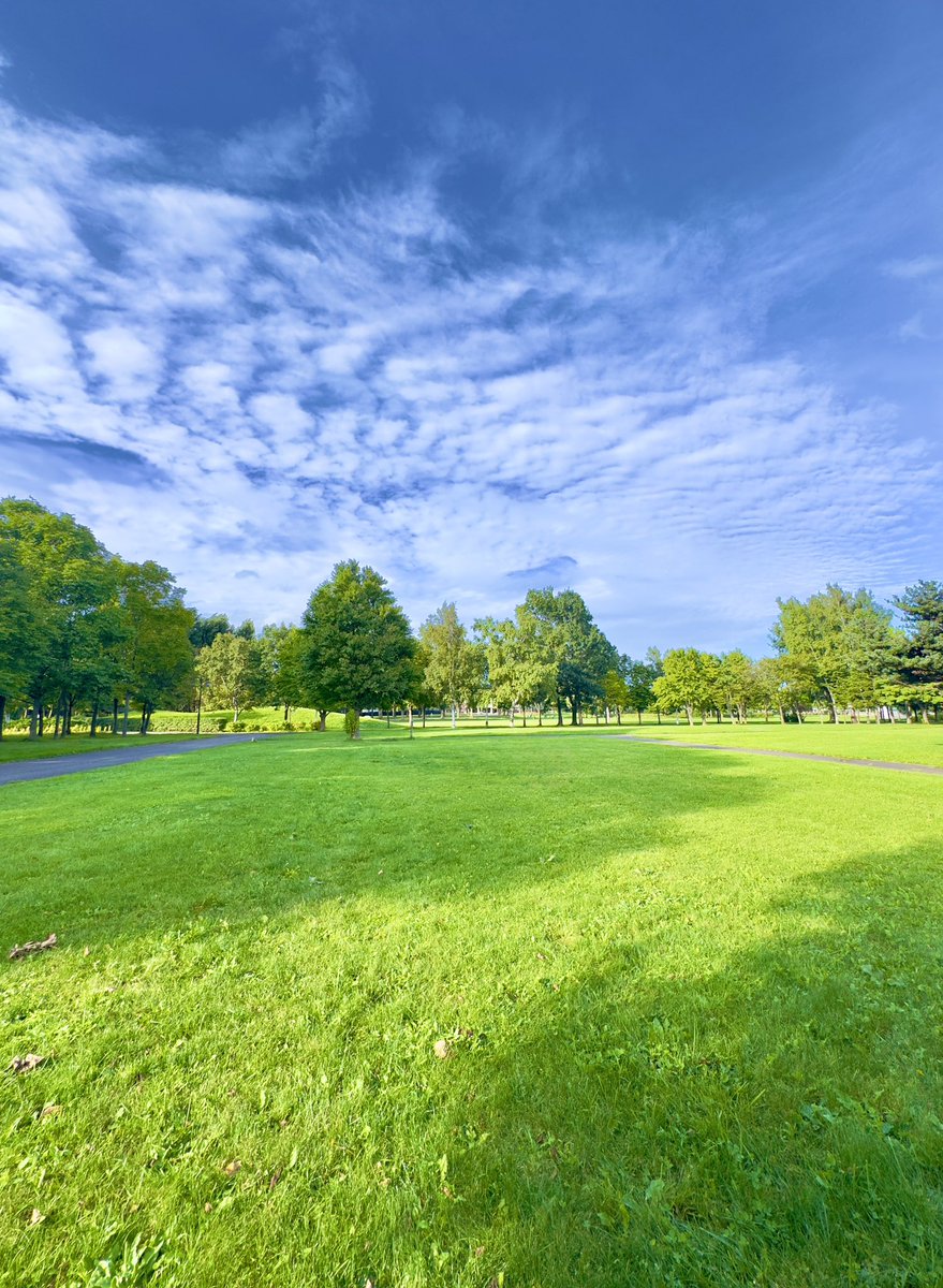 少しずつ落ち葉が🍂

青と緑に小さな秋が仲間入り