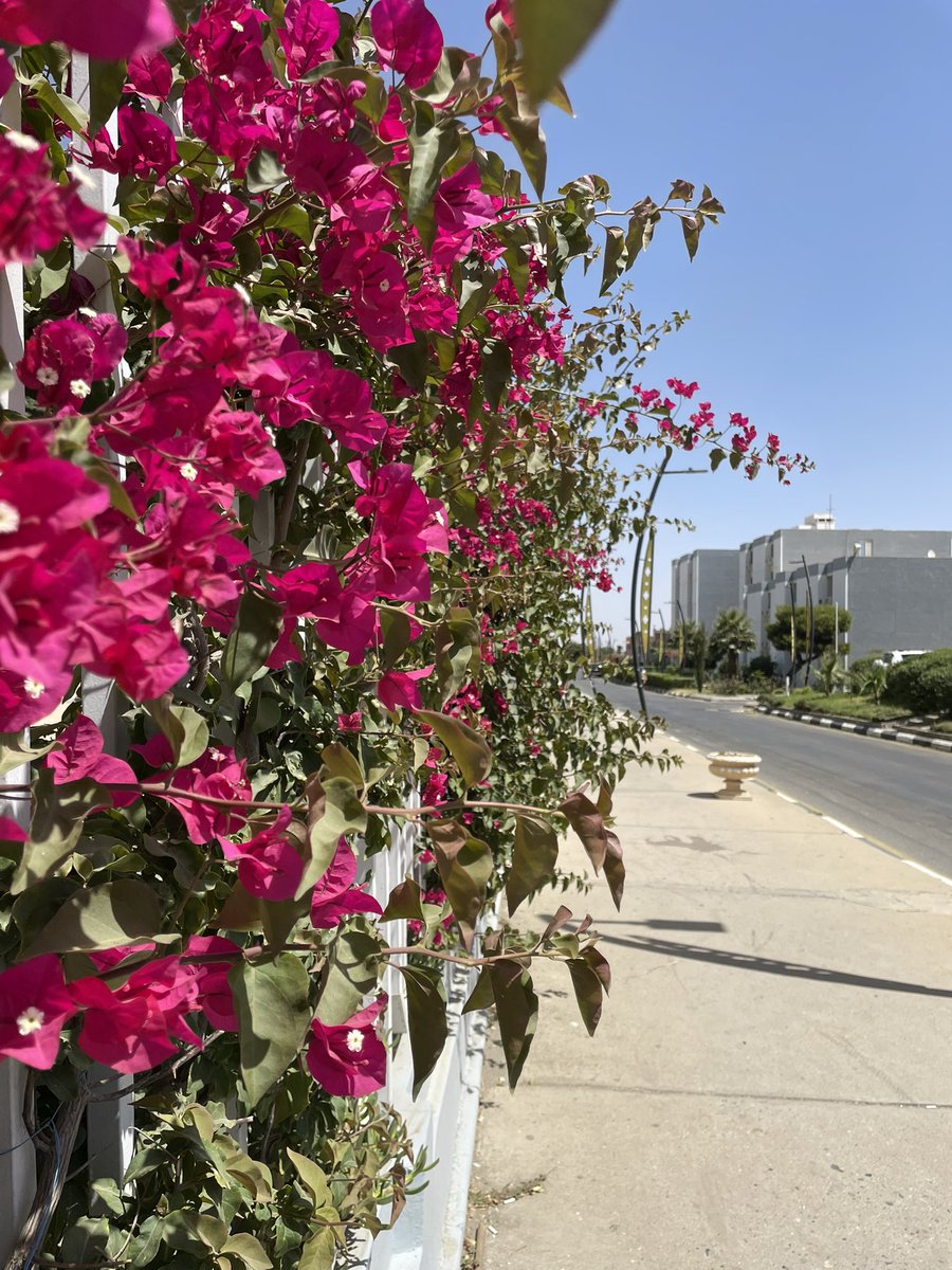 lanraining's tweet image. - اللَّهُمَّ إِنِّي أَعُوذُ بِكَ مِنْ زَوَالِ نِعْمَتِكَ، وَتَحَوُّلِ عَافِيَتِكَ، وَفُجَاءَةِ نِقْمَتِكَ، وَجَمِيعِ سَخَطِكَ .