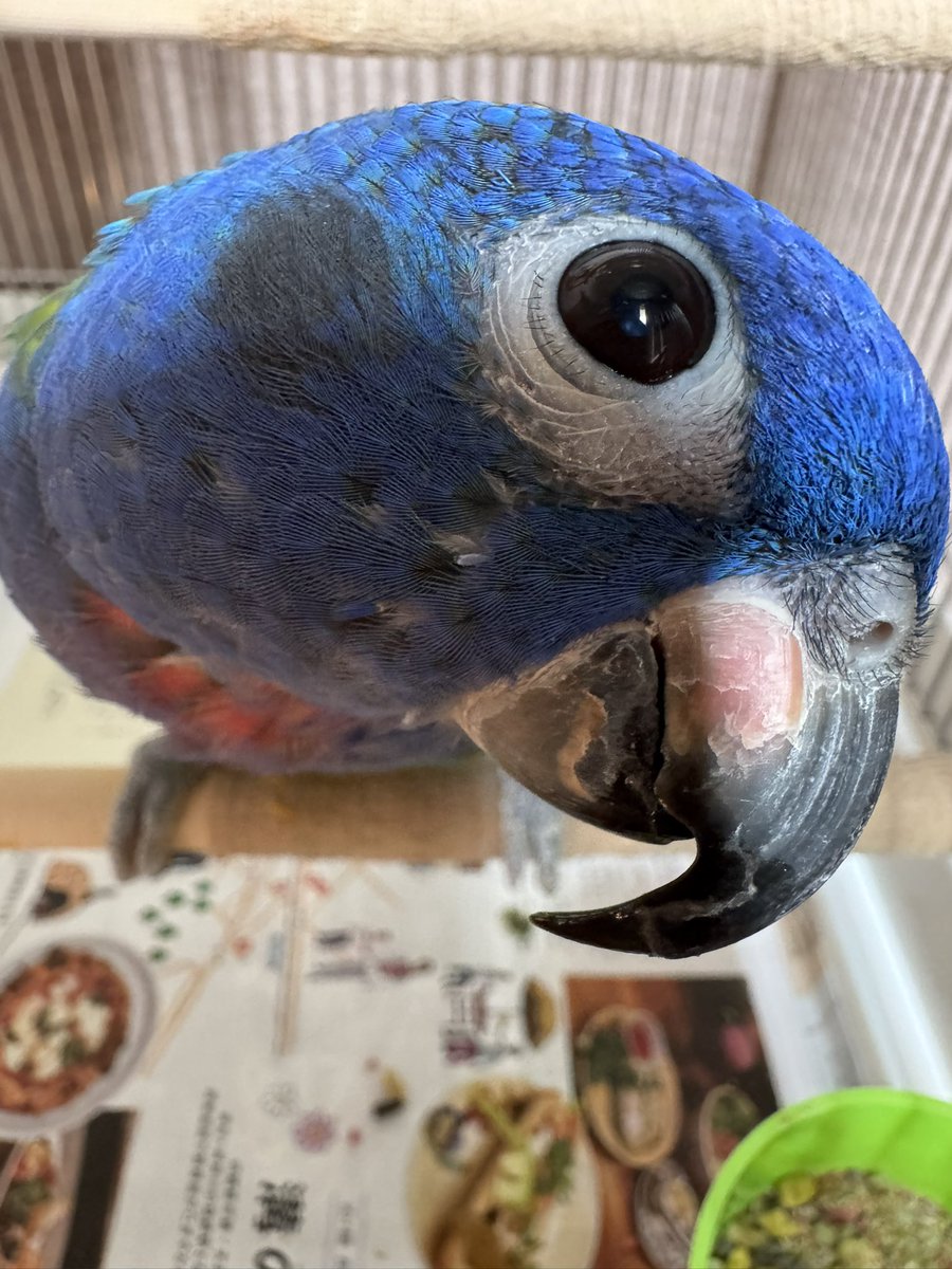 今日もオレ様が1番かわいい😍