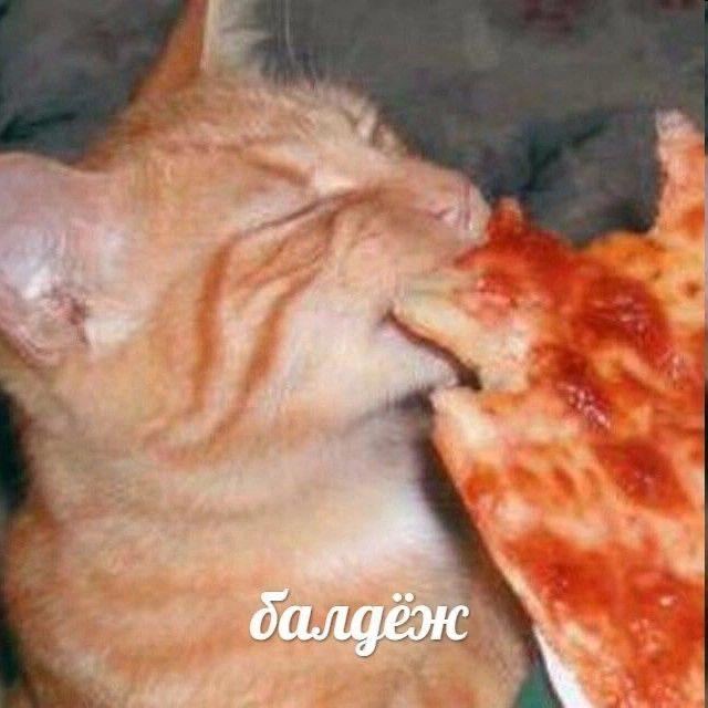 Сегодня на обед решили офисом поесть пиццы, вам тоже советуем!