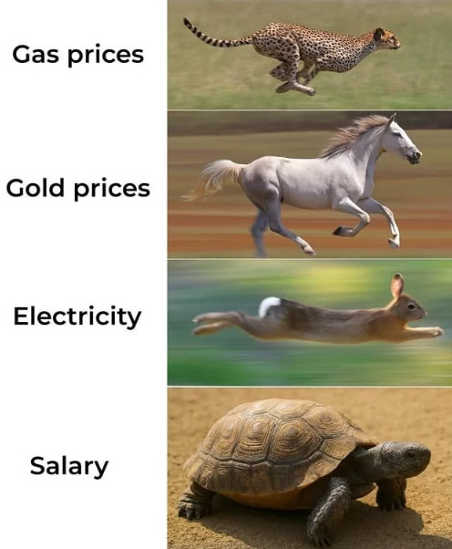 hectorchamizo's tweet photo. - Precio del gas.
- Precio del oro.
- Precio de la electricidad.
- Salarios...

Humor de domingo 😂. https://t.co/ETiHpPDjUE