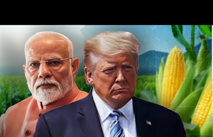 Trend_Pulse7's tweet photo. The USA pushes India to buy American corn for its 1.4 billion people.

India rejects US corn due to high tariffs and GMO bans. #IndiaFirst #CornTrade https://t.co/SRDzHGWAlF