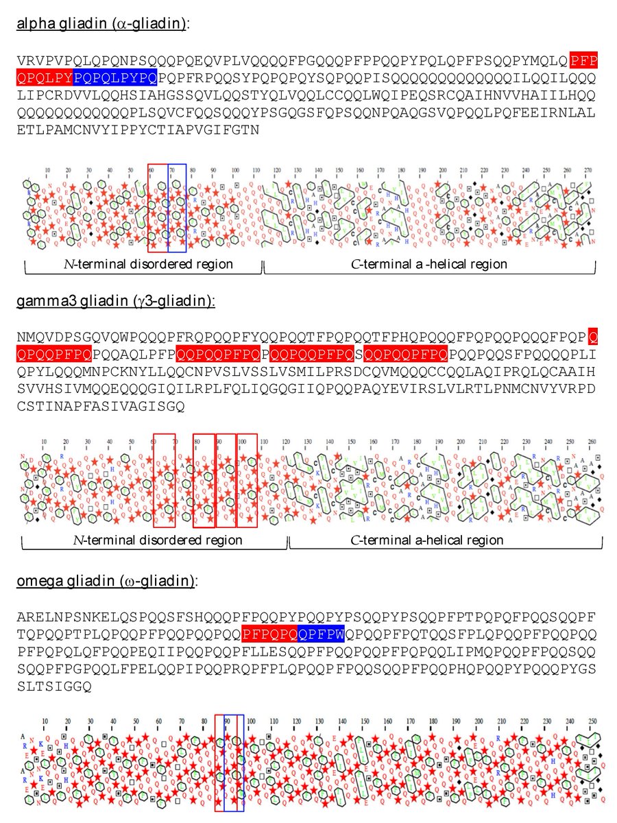🔔#Allergies_MDPI Welcomes you to read our publication "Impacts of Sourdough Technology on the Availability of Celiac Peptides from Wheat α- and γ-Gliadins: In Silico Approach" by Prof. Dr. Pierre Rougé et al.

✅Link: brnw.ch/21wVS79

#CeliacDisease #GlutenResearch #Food
