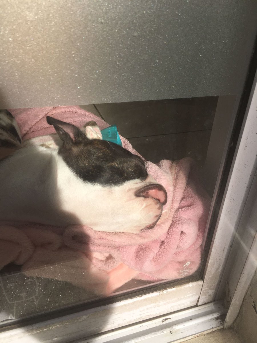 Gina The Boston tweet media