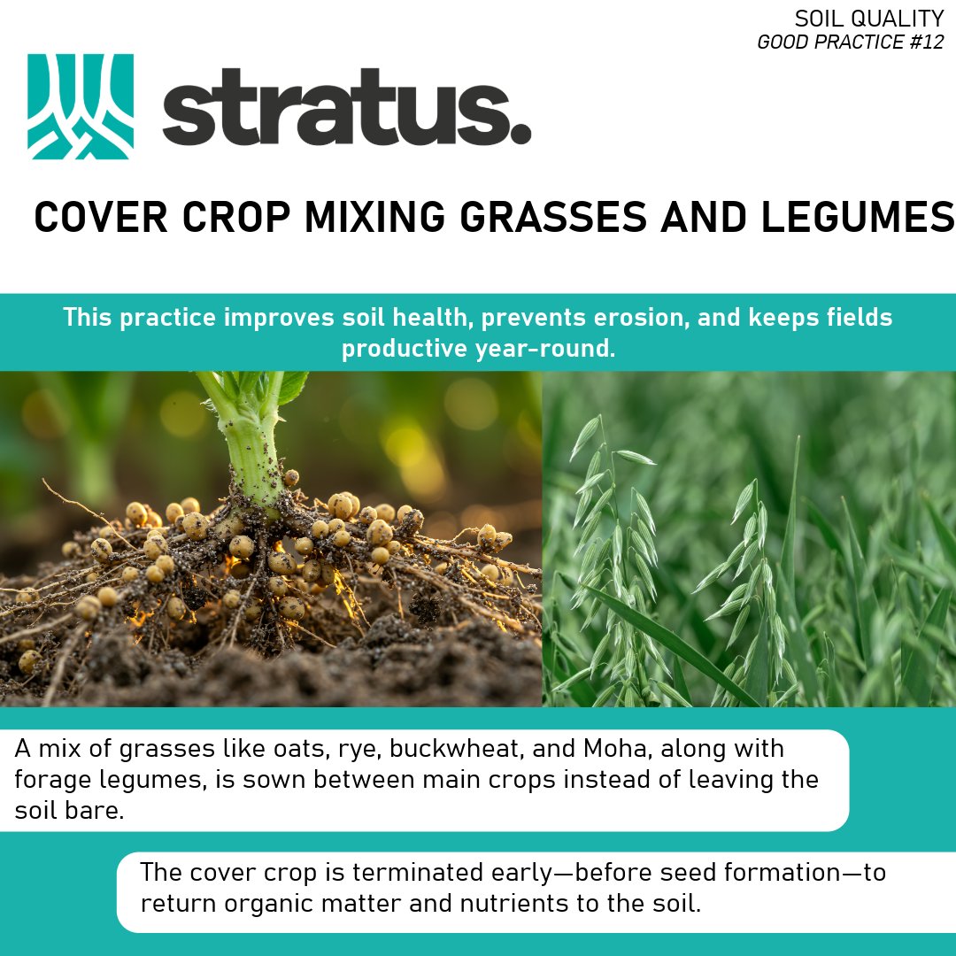 STRATUS is sharing the knowledge collected accross Eurpe to promote a more sustainable way to use fertilizers building a better future for agriculture.

👇Learn more here 👇
stratusproject.eu/wp-content/upl…