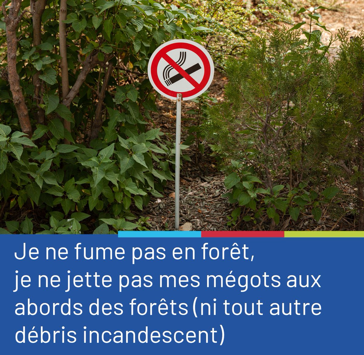 Les feux de forêt, de plus en plus fréquents avec le réchauffement, libèrent un « mélange toxique » de polluants.
Leurs fumées voyagent sur des milliers de km, affectant l’air et la santé de millions de personnes 🌍
👉 bit.ly/3VWQNuE