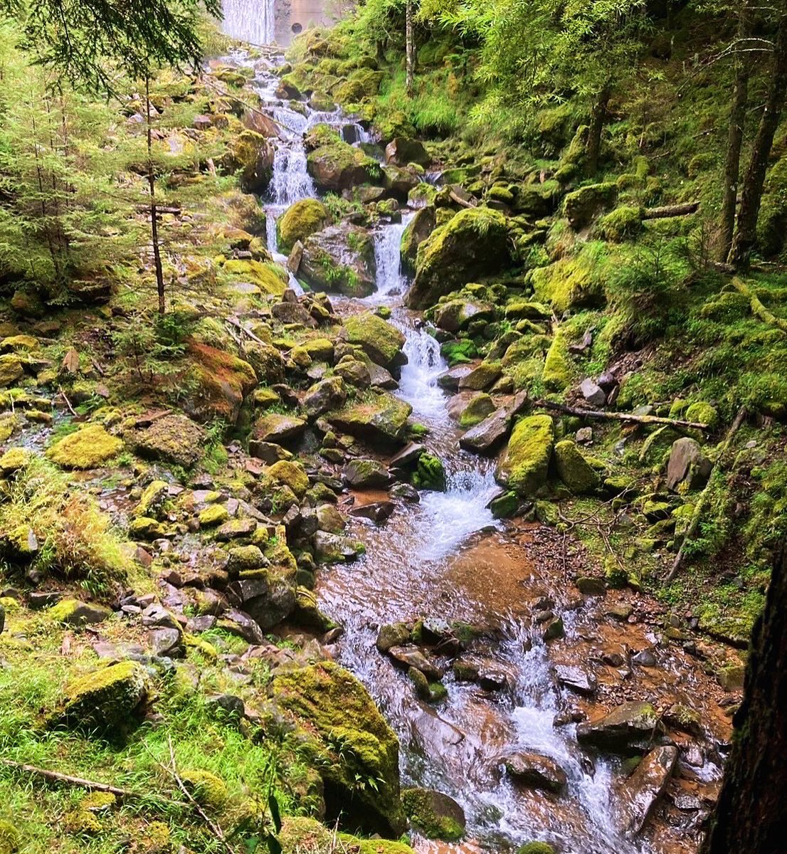 yamamedmt's tweet photo. 【活動報告】　9/13-15 秋合宿 八ヶ岳(長野県・山梨県)

日本海側の悪天候により急遽立山から八ヶ岳に変更し
いざ！とは言え八ヶ岳��も天候には恵まれず、、、、
天候がやや回復した午後に爆風に晒されながらなんとか赤岳に登頂しそしてまさかの初代部長にお会いしたりと密度の濃い楽しい3日間でした！ https://t.co/6OVBrqIOfk