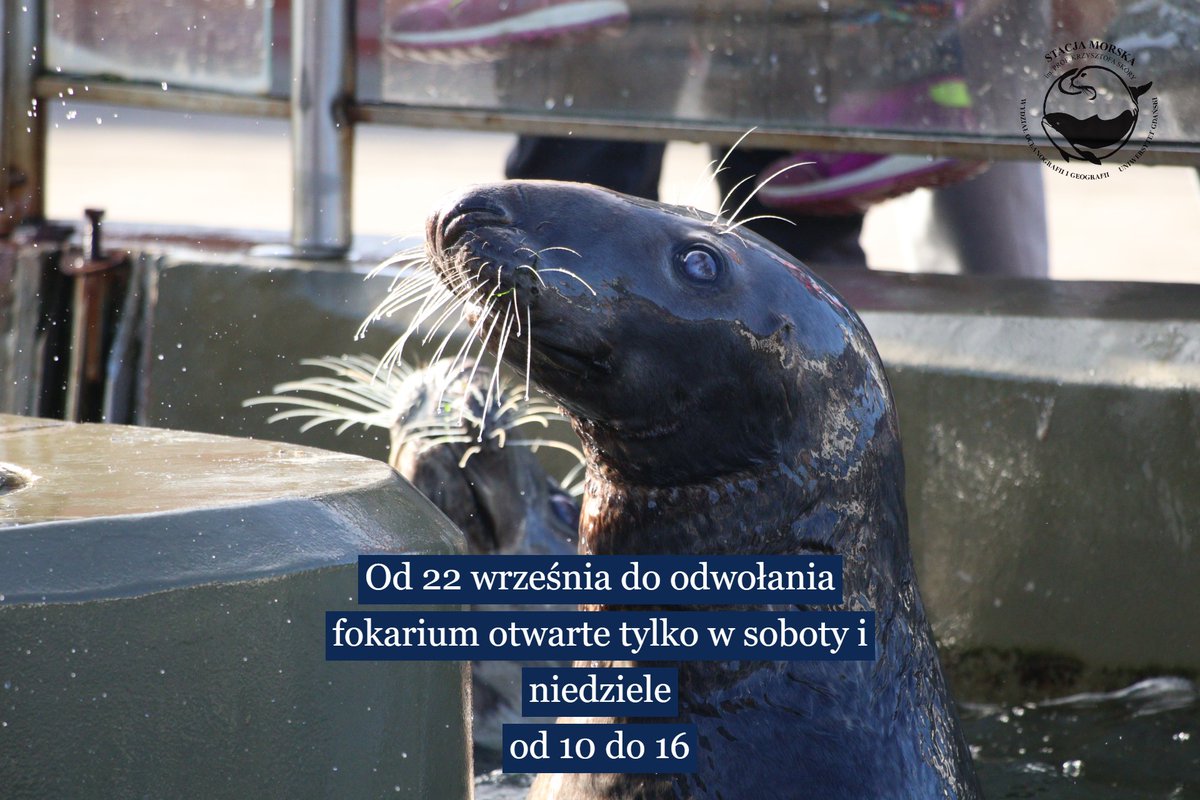 Ogłoszenie bardzo #WAŻNE!  W związku z remontem części basenów hodowlanych, w okresie od 22 września 2025 roku do odwołania fokarium będzie otwarte tylko w soboty i niedziele, w godzinach 10:00 – 16:00.

Karmienia fok z prelekcją odbywać się będą o 11:00, 12:30 i 14:00.