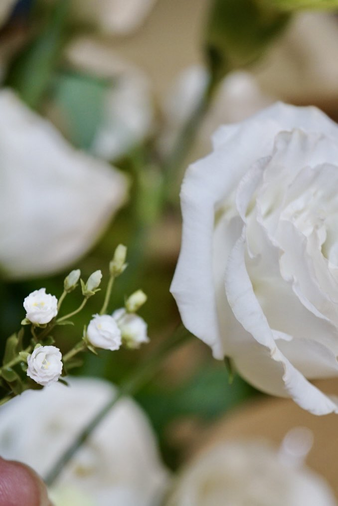 ミニチュア トルコキキョウ
⭐︎
Rosy先生( <a href="/RosyanneG/">ＲＯＳＹ</a> )のミニチュア教室の課題です
⭐︎
トルコキキョウを花束にし、先生デザインのスツールを塗装して、乗せました
こんな花束欲しい
⭐︎
花瓶の花はオリジナルで着色を変えたり花が咲きかけのものを作ってみました
⭐︎
実物と写真を撮りました