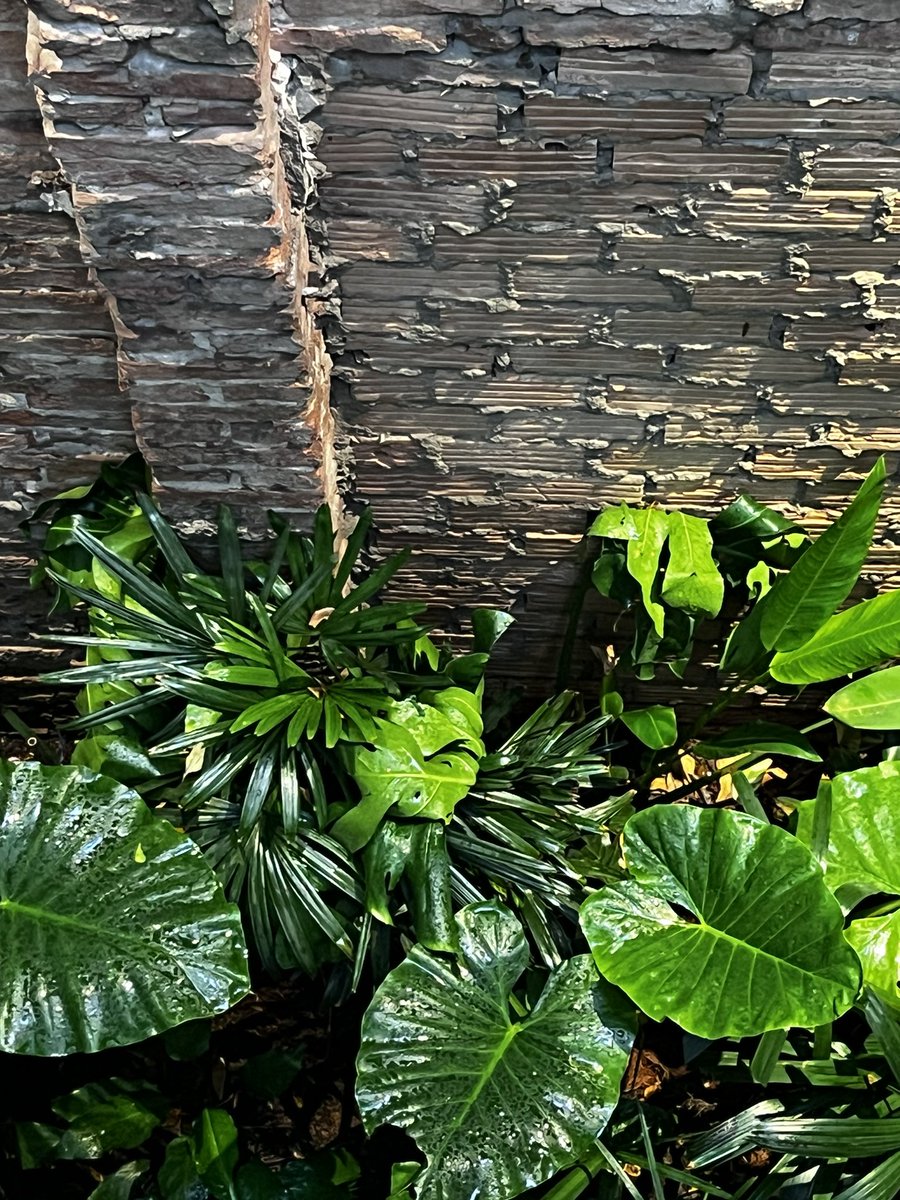 Hôm nay rảnh nên nhắn tin cho vài chị/ bạn trong danh bạ mà rất lâu rồi k nói chuyện để hỏi thăm. K rõ mấy chị/bạn nghĩ gì khi thấy tn của mình sau bao năm k liên lạc 😅

Nếu là bạn, bạn sẽ nghĩ gì khi một người quen cũ lâu năm bỗng dưng nhắn tin cho bạn?