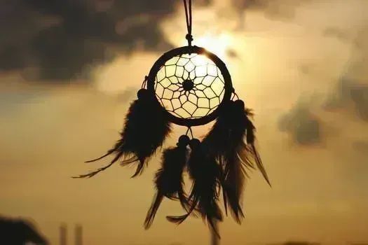 DTNEtiquette's tweet photo. My dream catcher snatches away all negative dreams and negative energy...no time for any of that in my life! ~ #DTN #works4me #mychoice https://t.co/akZmtJqwuQ