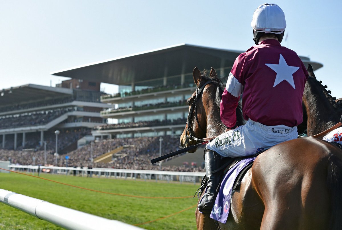 Gavin Lynch tweet media