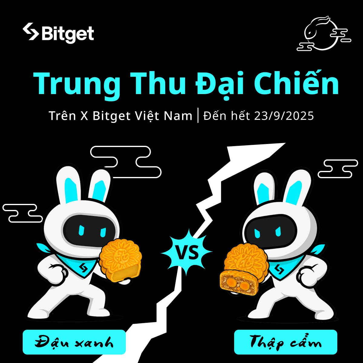 Bitget Vietnam tweet media