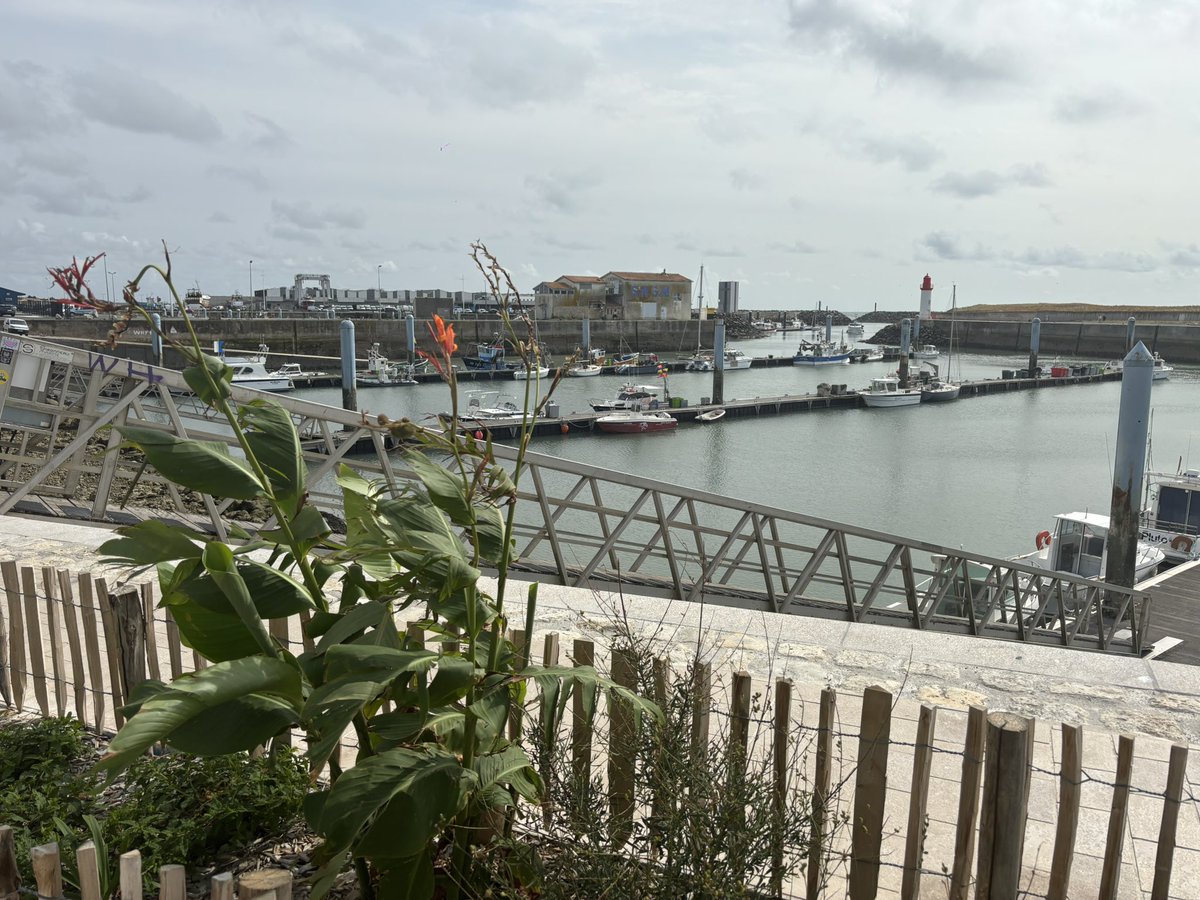 Petit passage par le port de la Cotinière…
#Visite #bateau #IleDOleron #nuages #balade #ocean #vacances #voyage #cotiniere