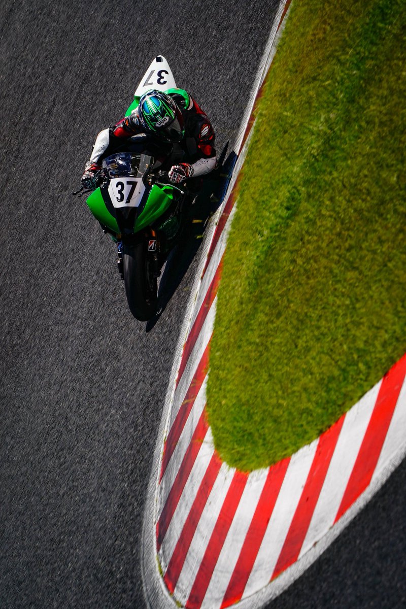 ゆうき2点 RR 精霊樹“百目鬼” ユグドラシル 販売 | [E39] まれびとの宴 | Z