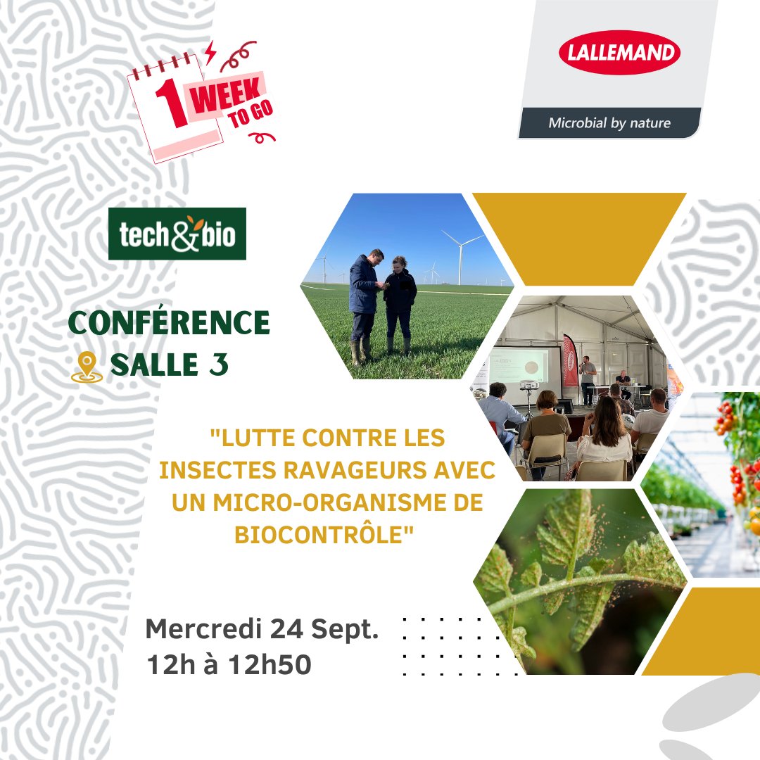 ⏳ Plus qu’1 semaine avant <a href="/TECHetBIO/">Tech&Bio</a>  !
RDV au stand C43 pour échanger avec notre équipe &amp; à notre conférence 🌱 afin de découvrir des solutions concrètes et durables en protection des cultures.
#Biocontrôle #AgricultureDurable #Lallemandplantcare