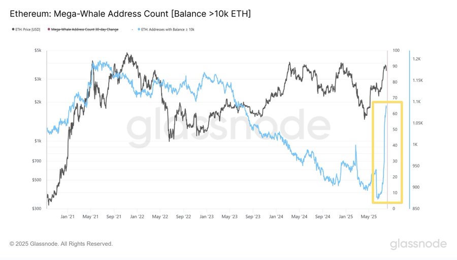 A line chart displaying Ethereum mega-whale address count with balances over 10,000 ETH. Two lines track different metrics, one for address count and one for balance, over time from January 2023 to September 2023. The chart includes a y-axis labeled in dollars and an x-axis with dates. A watermark reading "glassnode" is present at the bottom.