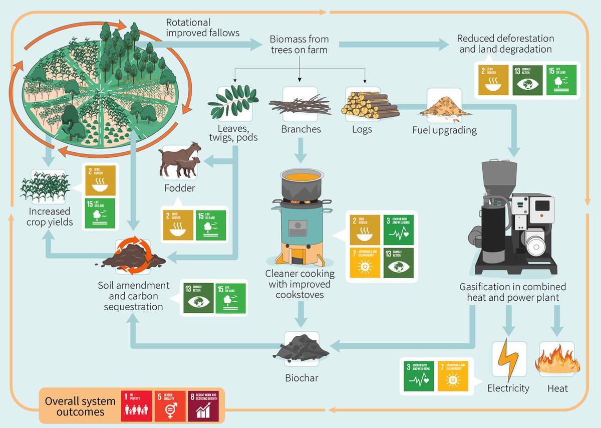 🌍 Great exchange with <a href="/Natxogl/">Natxo García López</a> on his research into agroforestry-bioenergy systems for food &amp; energy security in sub-Saharan Africa.

💡 Work valuable for both bioeconomy experts &amp; humanitarian actors advancing sustainable solutions.

👉 Read more: link.springer.com/article/10.100…