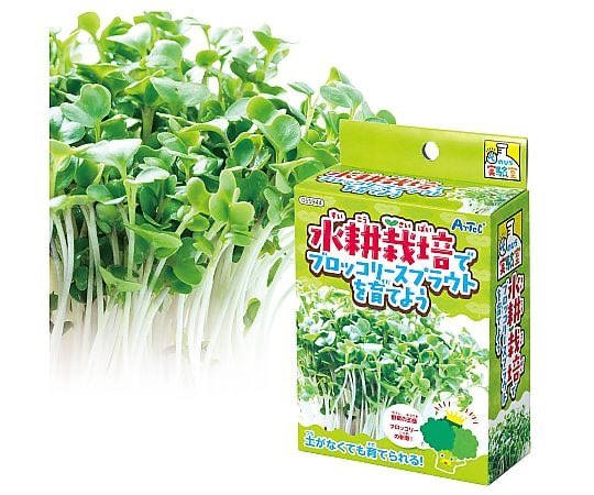 ／
水耕栽培でブロッコリースプラウトを育てよう🥦
＼

土がなくてもブロッコリースプラウトを育てられる！

メーカー：アーテック 様

axel.as-1.co.jp/asone/d/65-567…

#かいわれ大根の日 #今日の商品紹介
