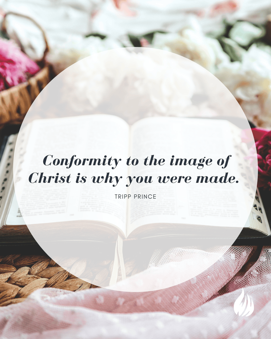 WisdomHunters's tweet photo. Conformed to His Image
By Tripp Prince
Continue reading on our website – https://t.co/0K9XZvUoAK
#wisdomhunters #wisdom #knowtheword #Christlikeness #transformation #discipleship #Romans8 #HolySpirit #sanctification #purpose #hope https://t.co/OJ2X8NBZFu