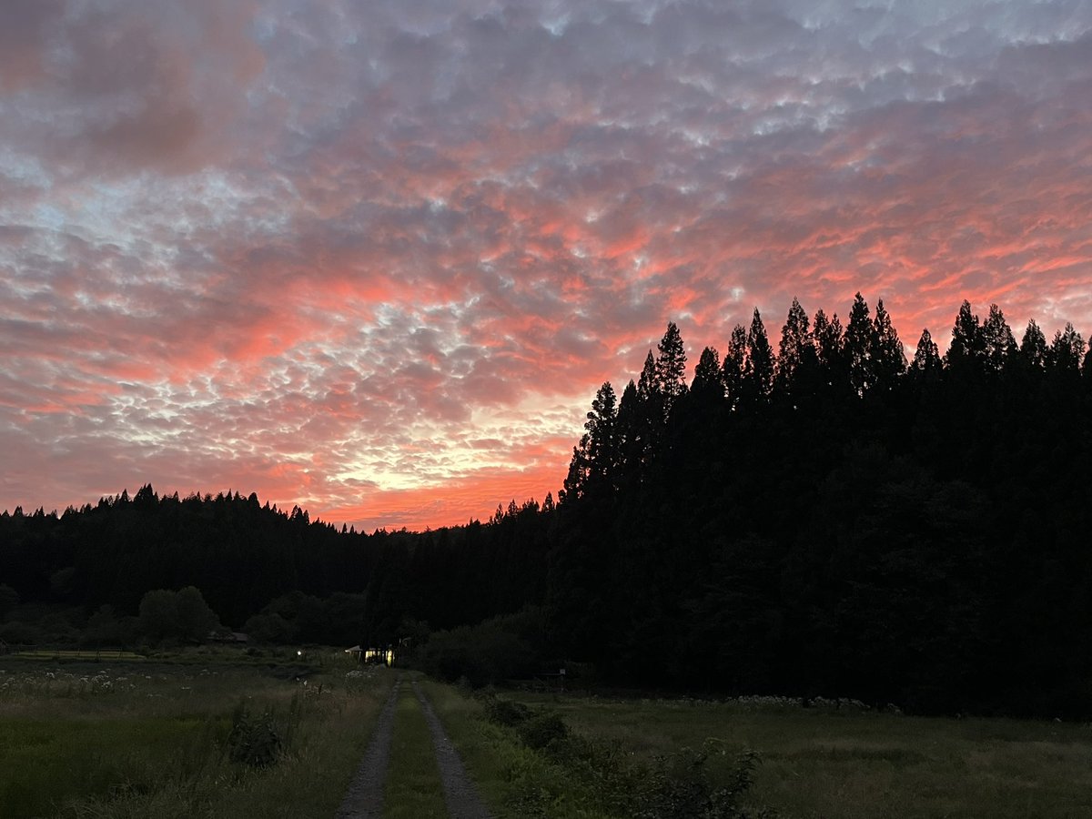 moriterra01's tweet photo. 綺麗な夕焼けだった。
#森吉森のテラス
#ステーキハウス森吉森のテラ
#秋の夕焼け
#空 https://t.co/1sdxjm40Ro