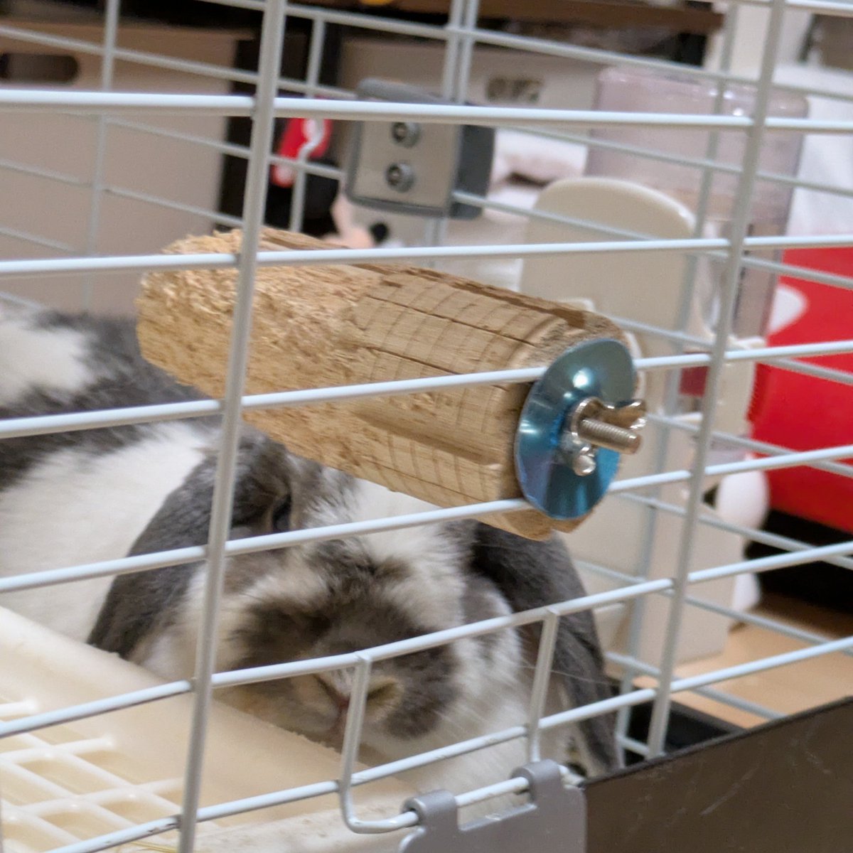 saki (@sakik75069246) / Posts / X