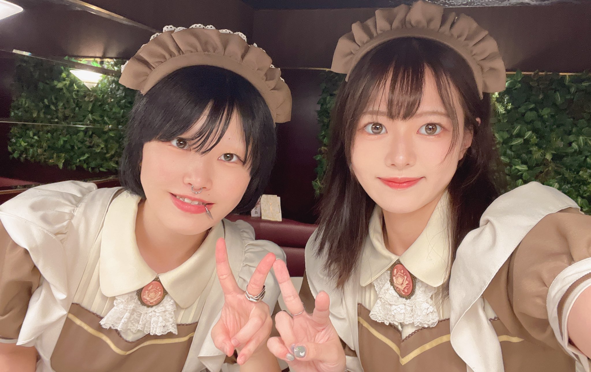 メイド喫茶とまり木🕊️ on X: 