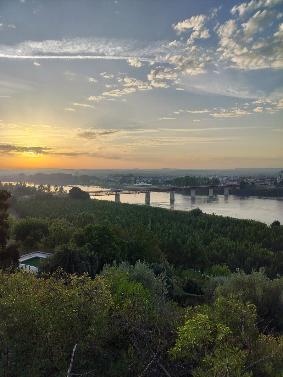 Sally Millington tweet media