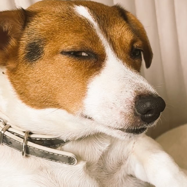 codedbud's tweet image. The more i write frontend code the more i appreciate writing backend logic