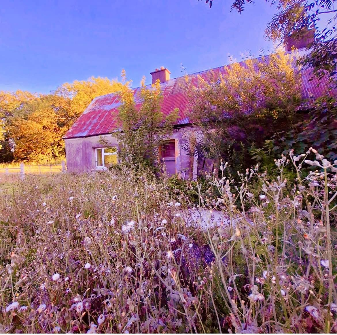 ThisIsIreland3's tweet image. Some wonderful images of North Kerry 🟢🟡

📍Tralee, Co. Kerry - Ireland ☘️ 

📸 Margaret Stack

#Tralee #Kerry #Ireland #Beauty