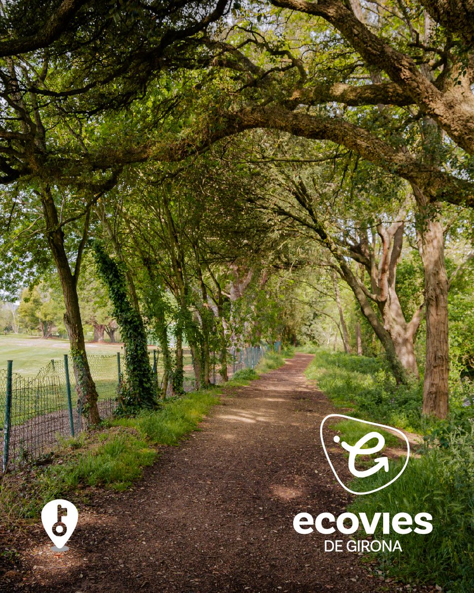 Ecovies de Girona (@ecoviesgi) on Twitter photo Coneixes la Ruta del Balcar? El "Secret" de <a href="/StaCristinaAro/">Visit SantaCristina</a> pels amants de la natura i del patrimoni: 4,6 km que podeu recórrer a peu o amb bicicleta, partint de la #rutaCarrilet🚲🚶♀️
🌳Ruta preciosa per a famílies, conèixer història, flora i fauna...
tuit.cat/aU3ZS Coneixes la Ruta del Balcar? El "Secret" de <a href="/StaCristinaAro/">Visit SantaCristina</a> pels amants de la natura i del patrimoni: 4,6 km que podeu recórrer a peu o amb bicicleta, partint de la #rutaCarrilet🚲🚶♀️
🌳Ruta preciosa per a famílies, conèixer història, flora i fauna...
tuit.cat/aU3ZS