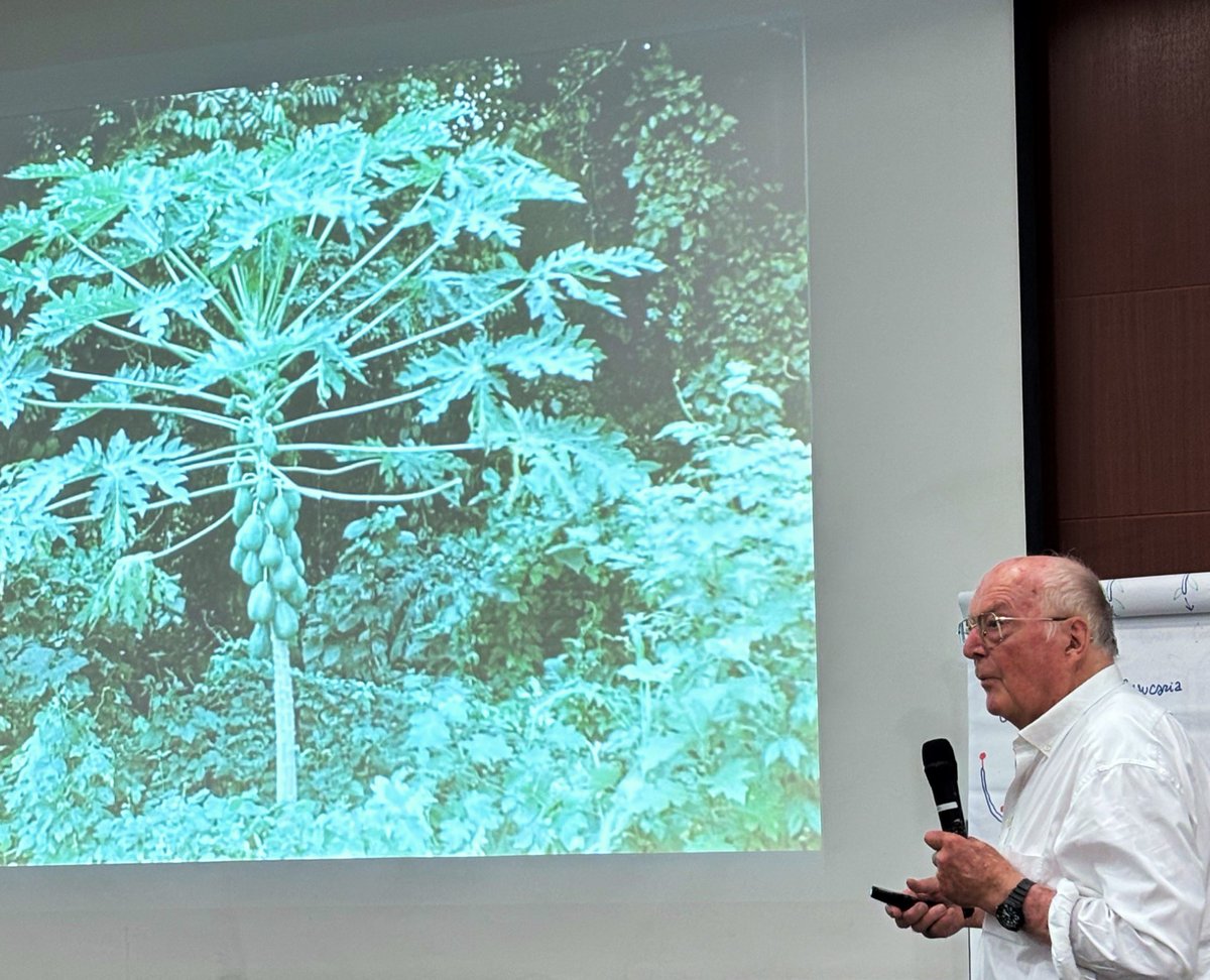 Prof Francis Hallé speaks at Singapore Botanic Gardens - “New insights into plant architecture.” A real privilege to hear him talk through the different models so succinctly and accurately illuminated with his illustrations. <a href="/nparksbuzz/">National Parks Board</a> #SBGScience