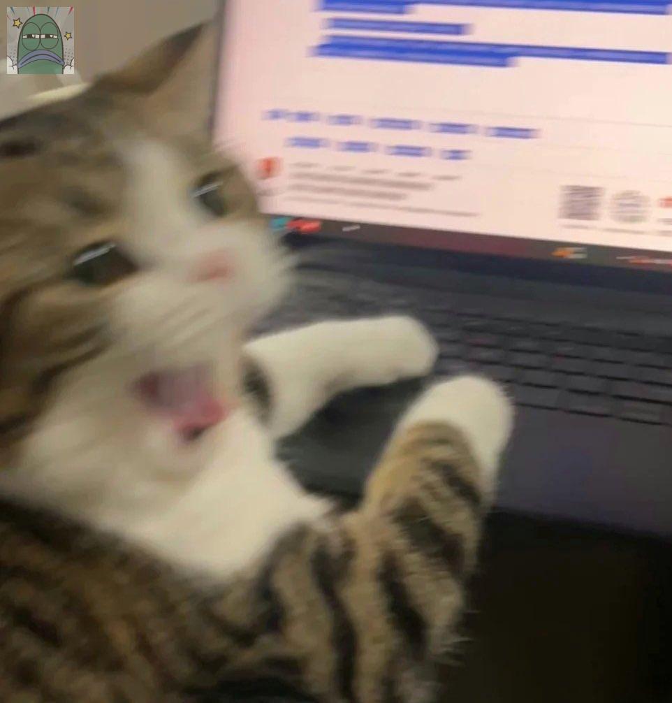 Tanyarlfes tweet media