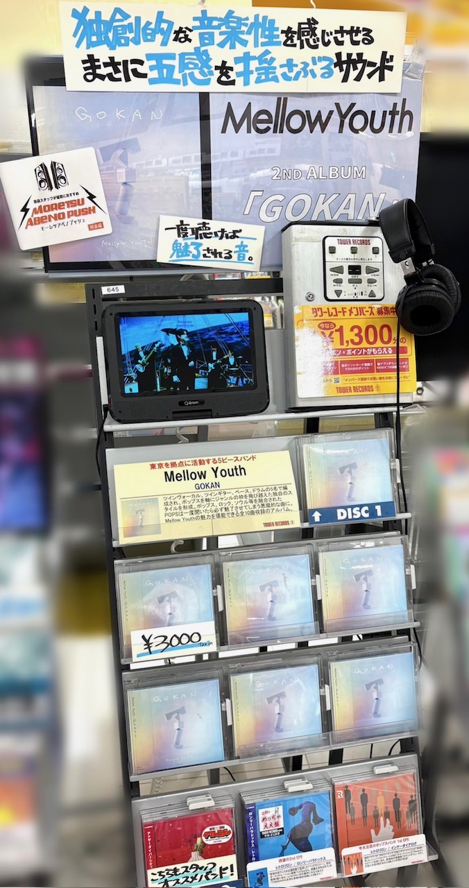 【インタビュー紙】アイスバーン、ライフアース、ダメレコ 他3組 +おまけ付 インタビュー紙】アイスバーン、ライフアース、ダメレコ 他3組