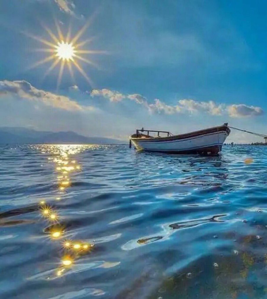 h___801's tweet image. الطين واحد لكن؛ الأرواح تختلف فبعض البشر داء، والبعض الآخر دواء والإنسان ينسجم مع من يشبهه في الروح وليس في الصفات 
مساكم الله بالخيرات