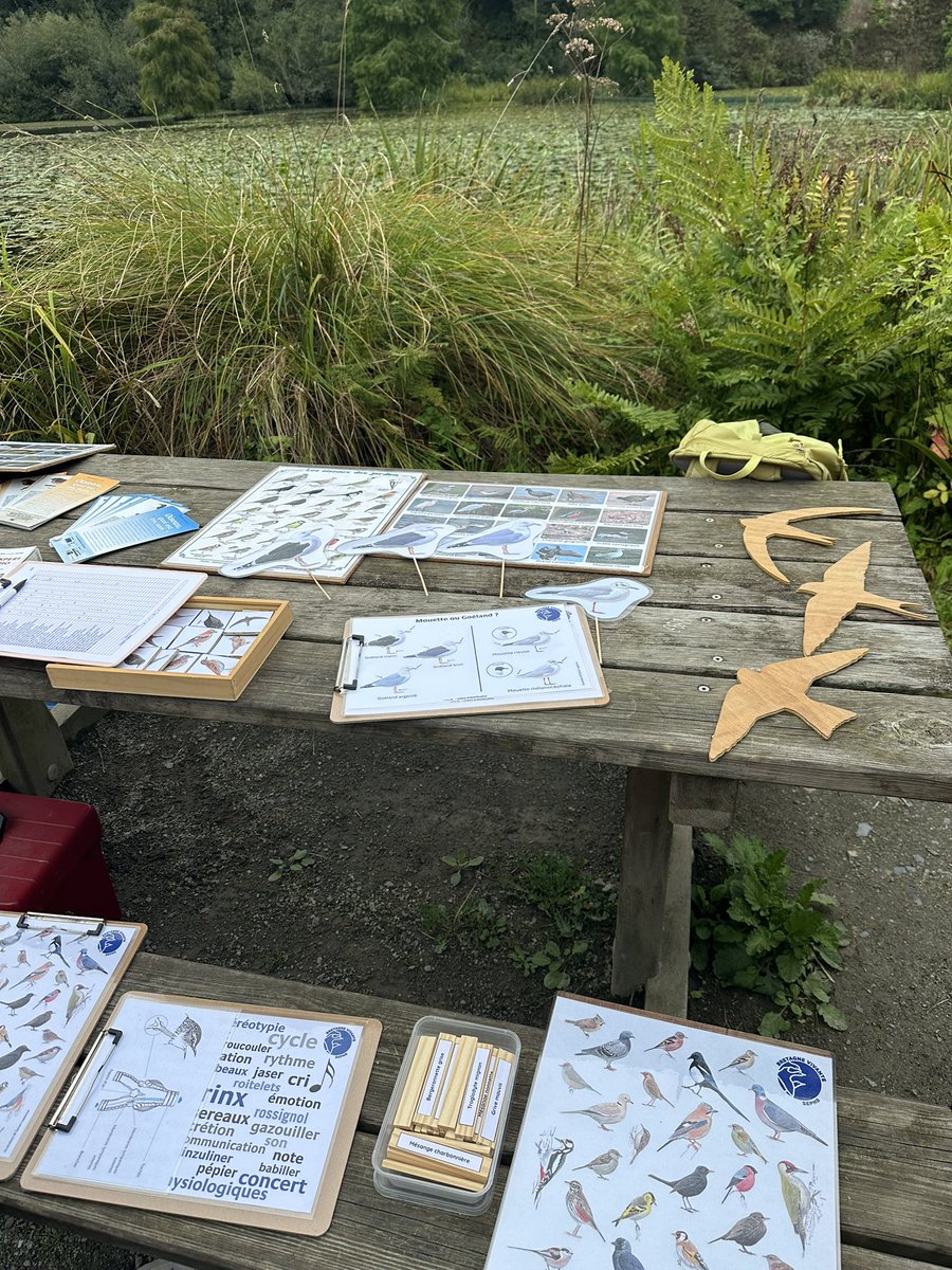 Belle rencontre au jardin du Conservatoire botanique national de Brest avec l’association Bretagne Vivante - SEPNB qui œuvre au quotidien pour la protection de la biodiversité en formant et éduquant à la nature