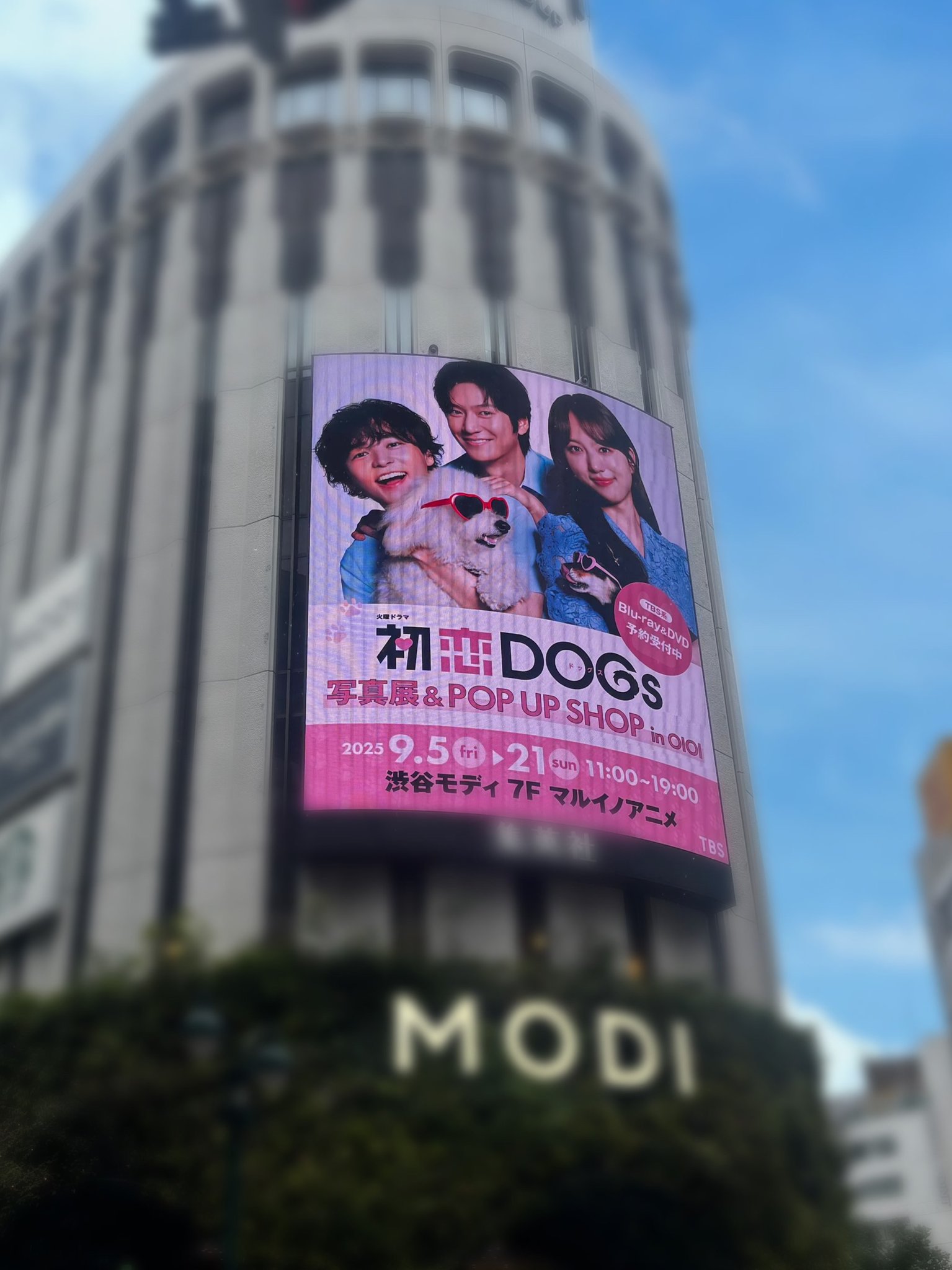 TBSコンテンツ（イベント/グッズ）【公式】 on X: 