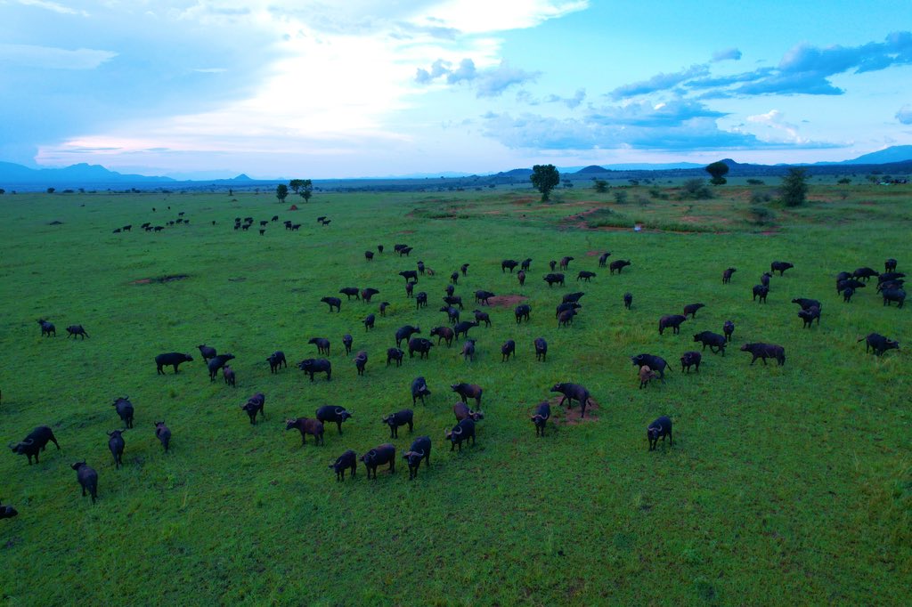 Babie Jacquie Penny tweet media