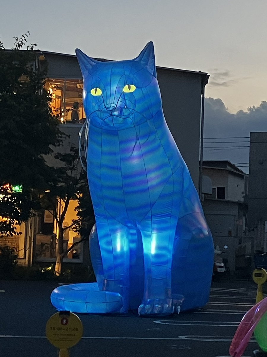 猫茶 しもきた茶苑大山 日本茶スタンド (@shimokita_chaen): 