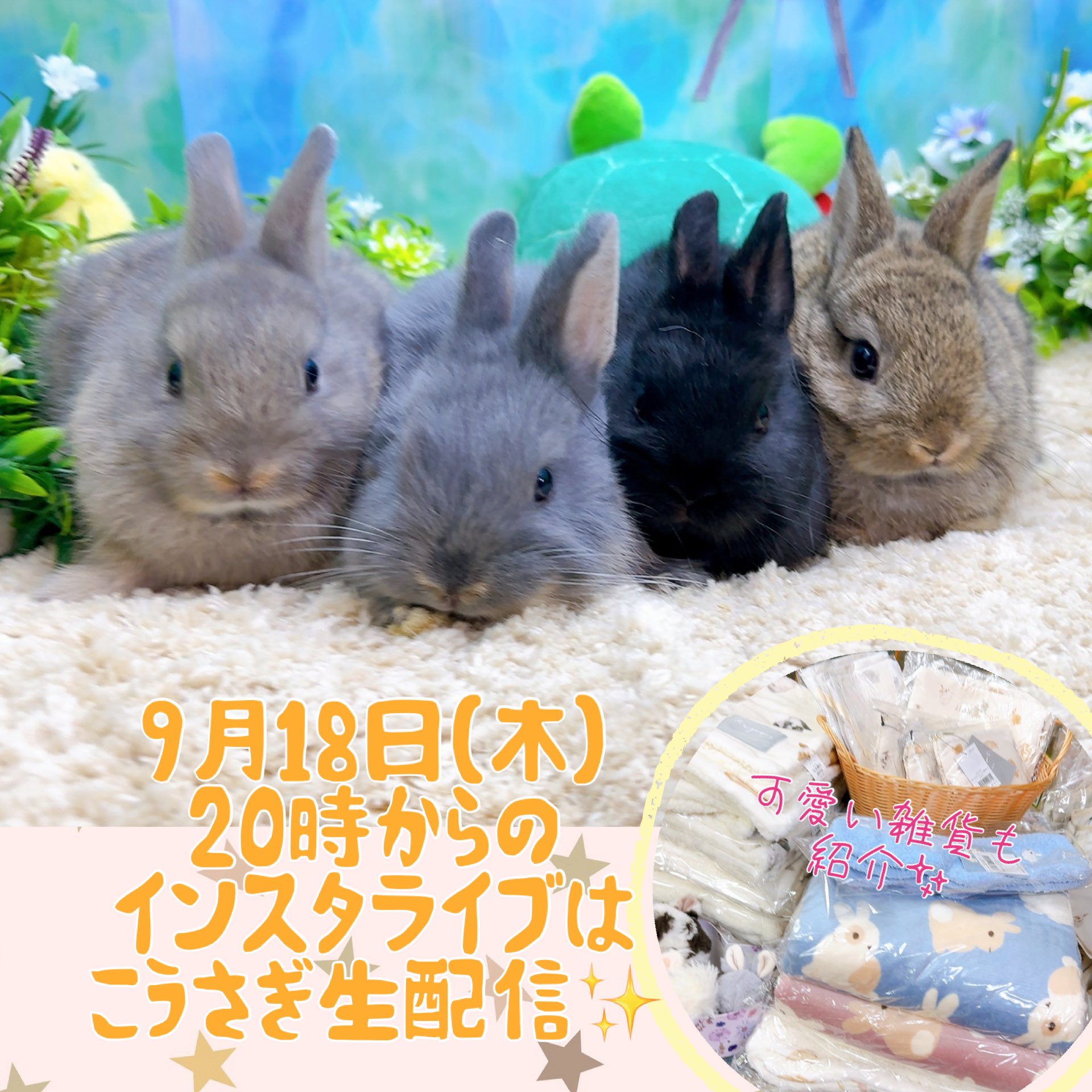 ☆ きのぴ☺︎ さま　専用　☆ 丸三タカギ メール便最大サイズが投函可能 大容量 郵便ポスト