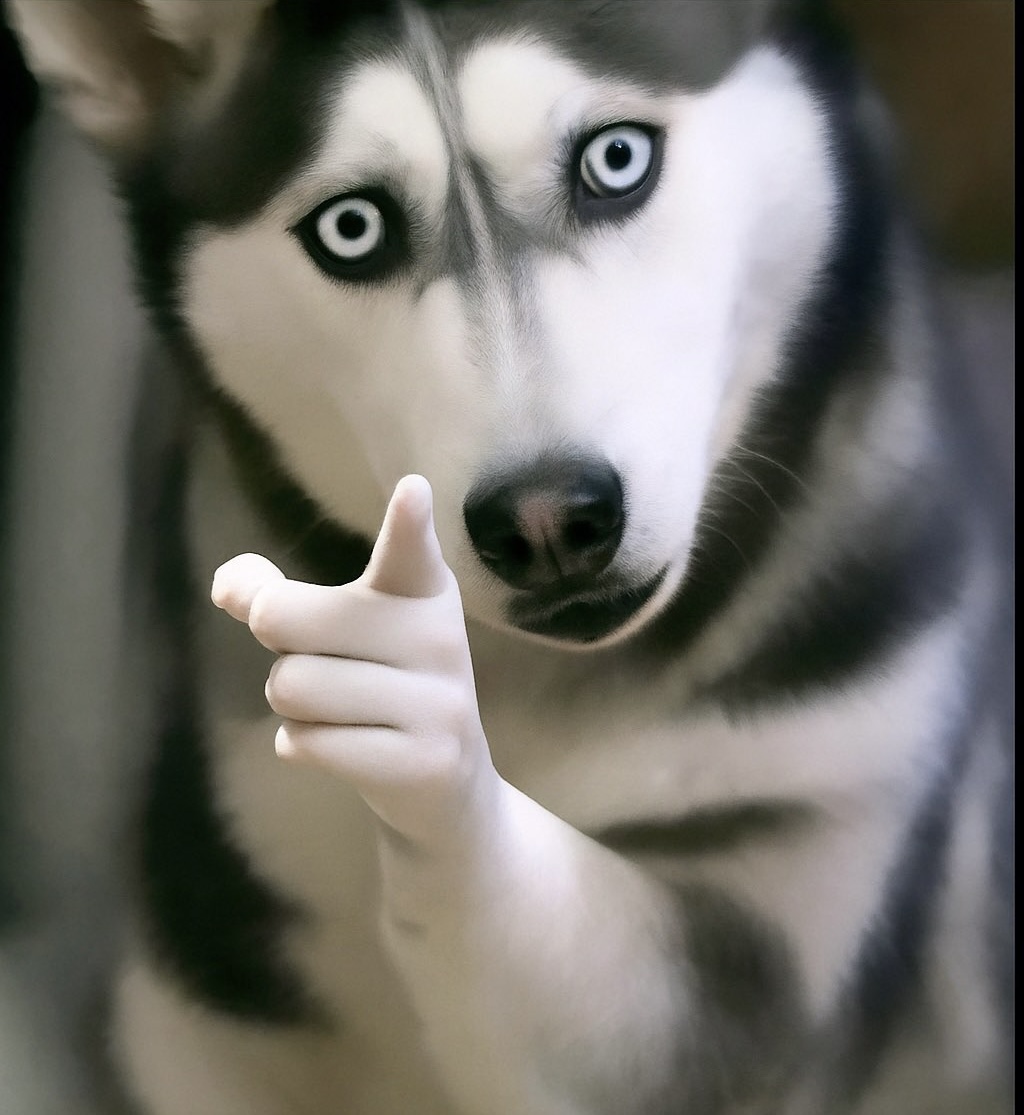 Airtel_Ug's tweet image. If you are really good at English, start a sentence with the word "bye"