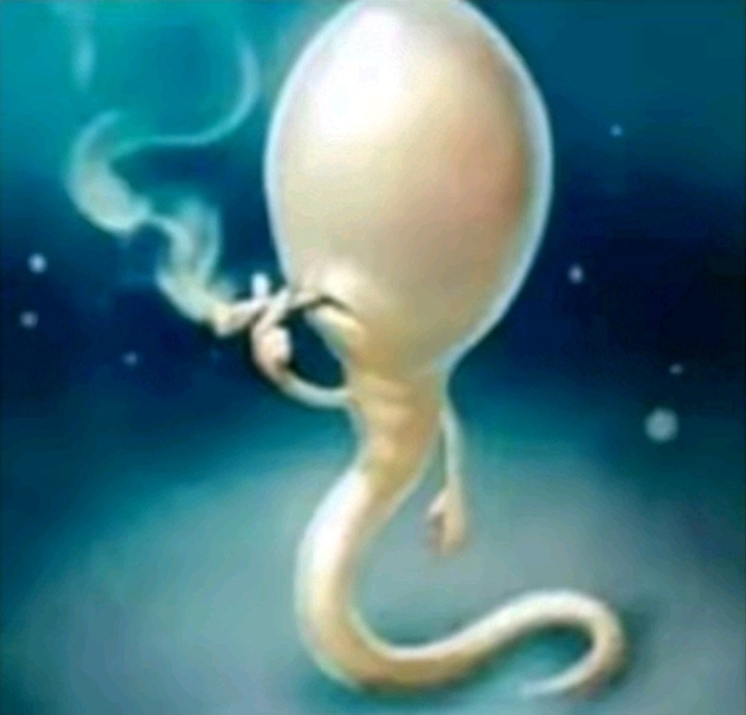 Napierdzialem's tweet image. Czemu schafter nie dropi awangardy