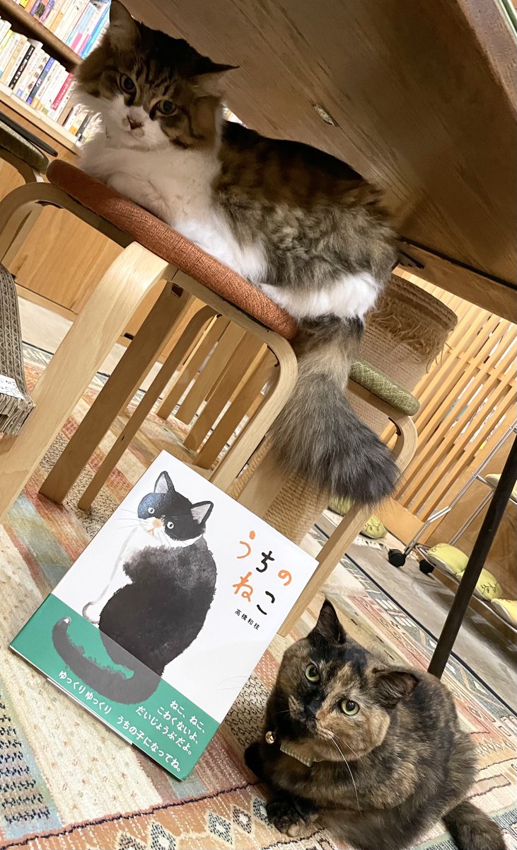 キャッツミャウブックス® (@CatsMeowBooks) / X